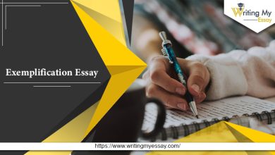 Photo of How To Write An Exemplification Paragraph In An Essay