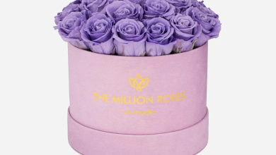 Photo of The Meaning Behind Violet Roses and Other Colors