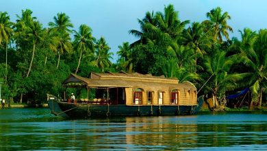 Photo of Honeymoon In Kerala: Everything You Need To Know