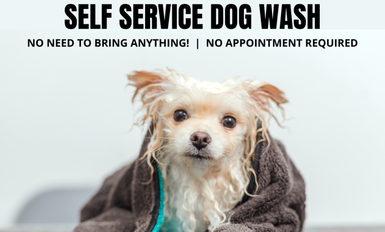 self service dog wash