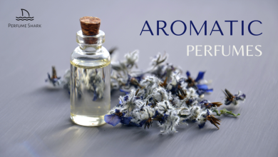 Photo of 4 Most Used Aromatic Scents For Her By Perfume Shark