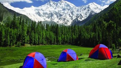 Photo of Wind & weather forecast Fairy Meadows