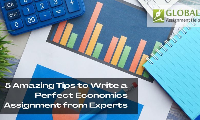 5 Amazing Tips to Write a Perfect Economics Assignment from Experts