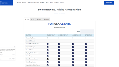 Photo of Ecommerce SEO Pricing and Packages Services in ViseTech