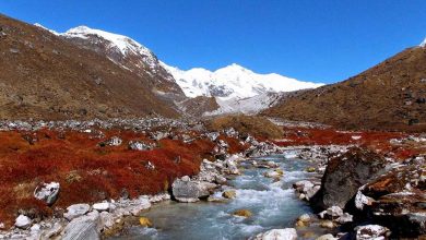 Photo of 5 THINGS YOU NEED TO KNOW ABOUT GOECHALA TREK