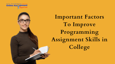 Photo of Important Factors To Improve Programming Assignment Skills in College