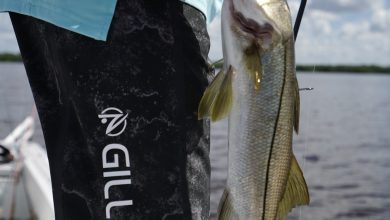 Photo of Performance Fishing Shirts and 5 Other Ways to Up Your Fishing Game