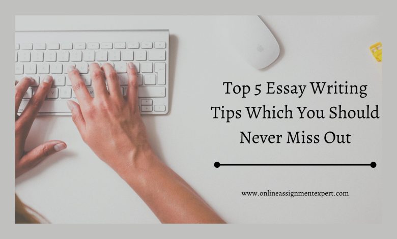 Essay Typer