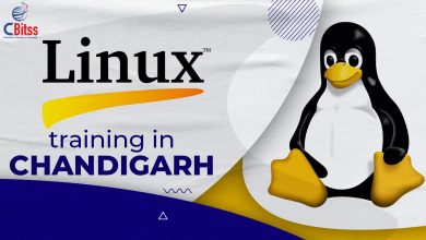 Photo of Terms related to Linux operating system