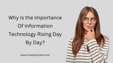 Photo of Why Is the Importance Of Information Technology Rising Day By Day?