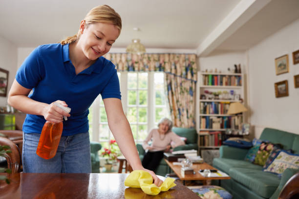 Seattle home cleaning